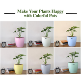 Decor 10 (10 Inches, pack of 6), 6 Color Pots